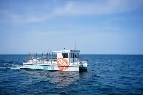 Валенсия: экскурсия на лодке с остановкой для купания