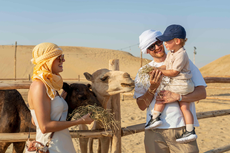 Dubai: Full-Day Desert Safari, Wildlife at Al Marmoom Oasis Shared Tour & Shared Tent