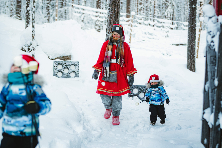 Levi：Arcandia，精灵法庭/日光和公园/黑暗精灵法庭：3 小时体验和公园之旅