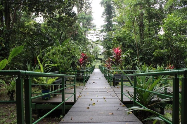 Tortuguero: Wandel de Cerro Tortuguero Trail