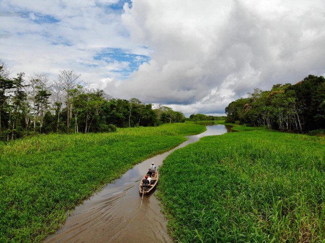 Visit Birding The Amazon in Leticia
