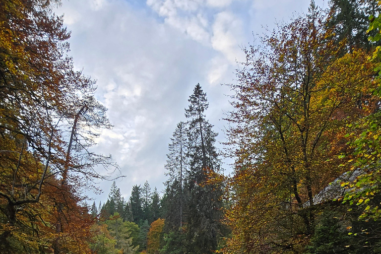 Stirling Castle, Kelpies, Glen Lyon and Killin Day Trip