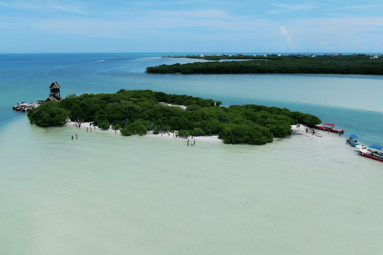 From Cancun or Puerto Morelos: Holbox Boat Tour with Lunch The Best of Holbox from Cancun