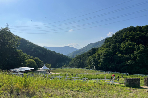 Gyeonggi: Alpaca & Sheep Ranch Admission Ticket in Gapyeong