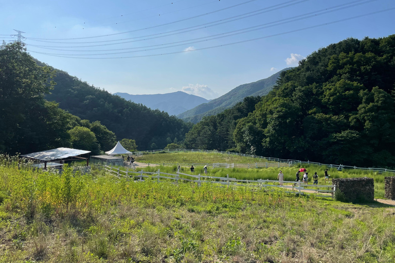 Gyeonggi: Alpaca & Sheep Ranch Admission Ticket in Gapyeong