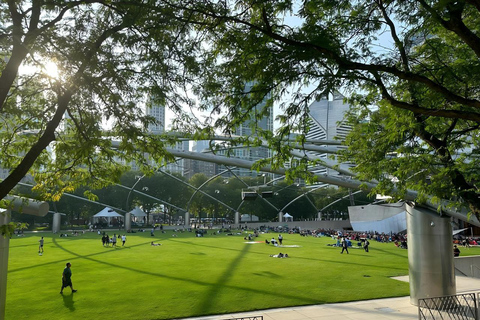 Chicago: Millennium Park Guided Tour with 360 CHICAGO Ticket