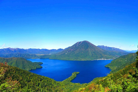 Tóquio: Viagem privada de 1 dia a Nikko com visita ao Santuário Toshogu