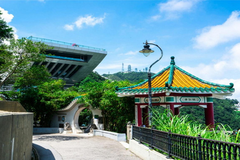Hong Kong: Fire Dragon Dance Night with VIP seat and dim sum