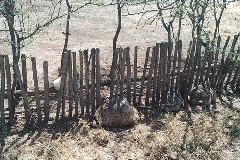 Mombasa: Wildlife Sanctuary Guided Nature Trail Tour Wildlife Sanctuary Guided Nature Trail Tour