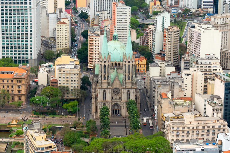 Shore Excursion from Port of Santos: São Paulo Day Tour