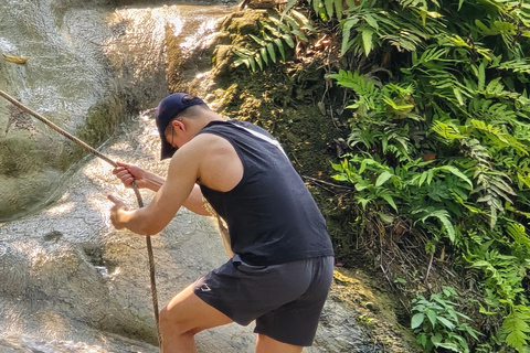 Chiang Mai:Sticky Watefall private tour with lunch