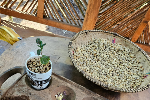 Excursion d&#039;une journée aux chutes d&#039;eau de Materuni, à la ferme de café et aux sources d&#039;eau chaude