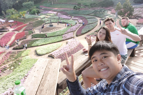 Chiang Rai: Mountains Discovery Doi Mae Salong & Doi Tung Mountains Discovery:Doi Mae Salong & Doi Tung (Private Tour)