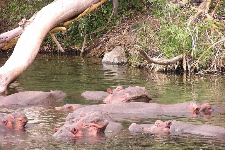 Diani/Mombasa: 2 Days to Tsavo East & Tsavo West with meals