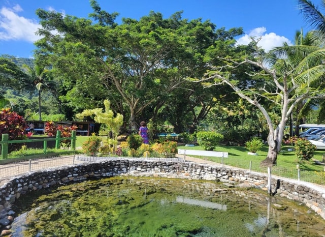 Nadi: Schedule Tour with Temple, Markets, and Hot Springs