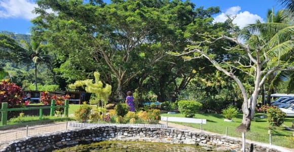 Nadi: Schedule Tour with Temple, Markets, and Hot Springs
