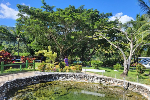 Nadi: Private Tour with Temple, Markets, and Hot Springs