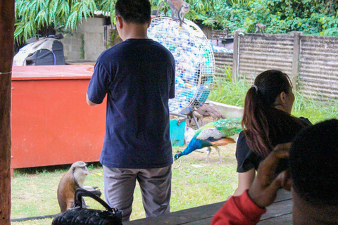 لاغوس: مركز ليكي للمحافظة على البيئة (LCC) جولة إرشادية