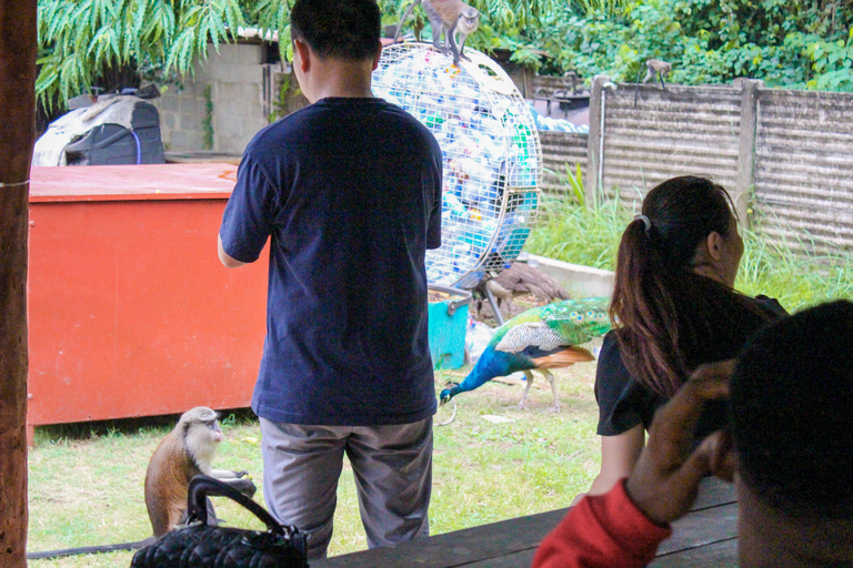 لاغوس: مركز ليكي للمحافظة على البيئة (LCC) جولة إرشادية