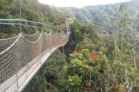 Expedición de 10 días en la RD del Congo para caminar entre Gorilas de Tierras Bajas