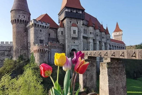 Transylvania Castles & Fortified Churches 4-Day Private Tour