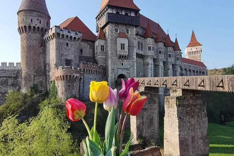 Transylvania Castles & Fortified Churches 4-Day Private Tour