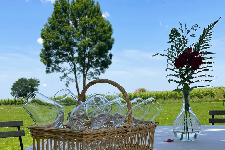 Au départ de Bordeaux : excursion d'une journée à Saint-Emilion avec déjeuner et vin