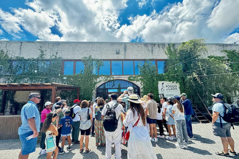 Florence: Pisa, Siena, San Gimignano, Chianti Wine & Lunch Italian Traditional option with Lunch & guided tour of Siena