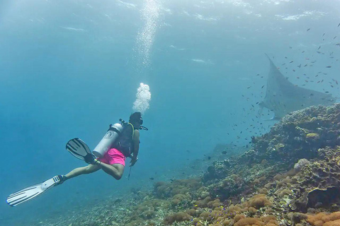 Labuan Bajo: Panorama vid solnedgången, nationalparkTRIPEDIA1