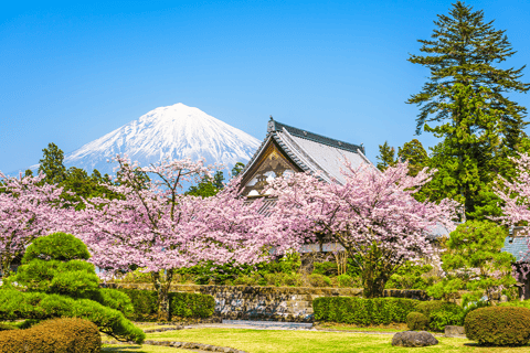 Tour zur fünften Station des Fuji und zum ThermalbadFuji-Ausflug ab Tokyo Station, Abfahrt um 7:30 Uhr
