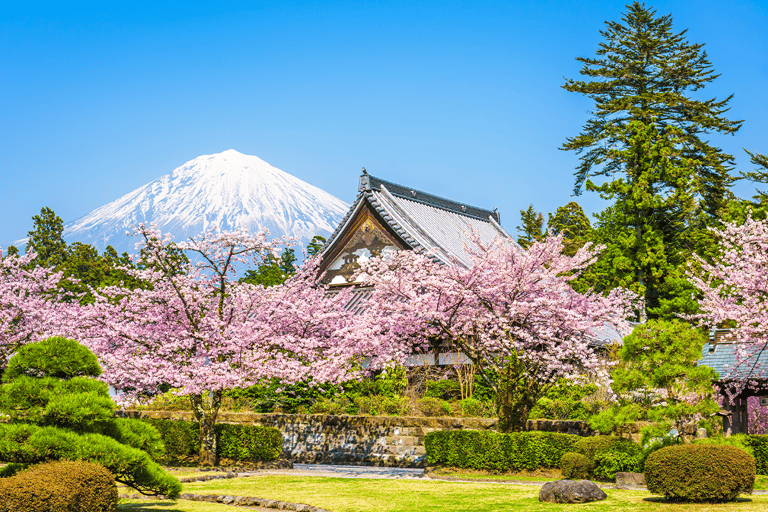 Tour zur fünften Station des Fuji und zum ThermalbadFuji-Ausflug ab Tokyo Station, Abfahrt um 7:30 Uhr