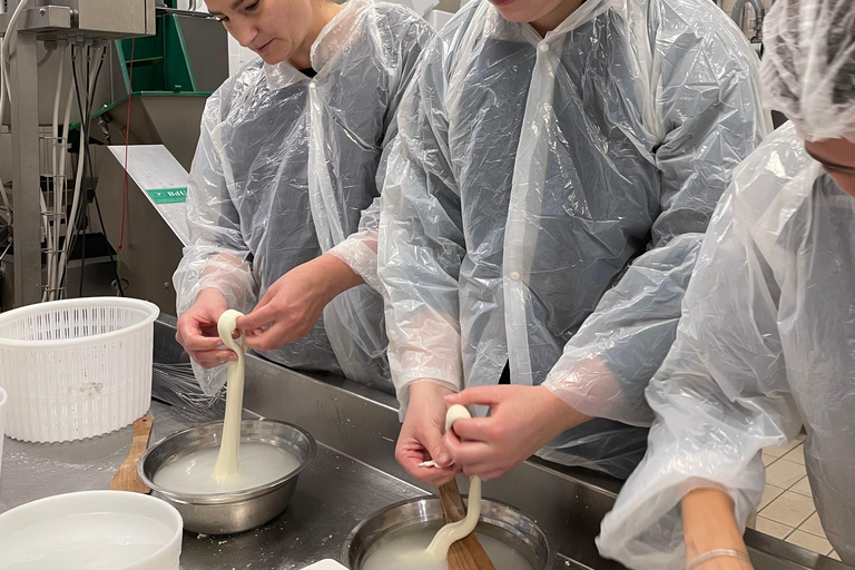 Pisa: Kaas maken en proeven met een kleine groep