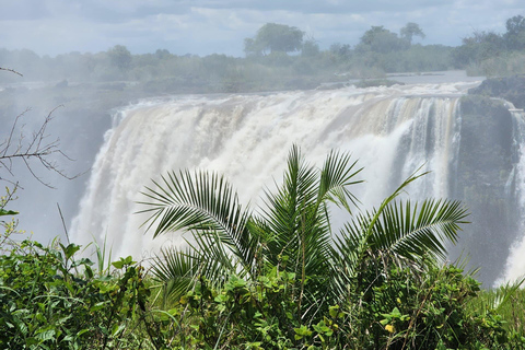 Victoria Falls Zimbabwe: Mosi-oa-Tunya Walk with Local Guide