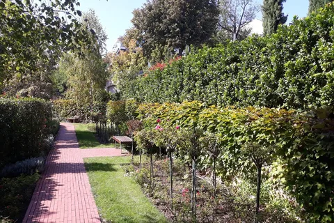 Budapest: Paseo por los Mejores Jardines y Música Folclórica Húngara
