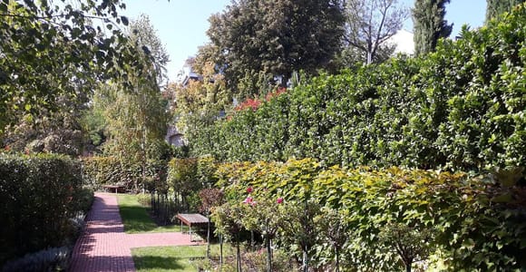 Budapest: Best Gardens Walking Tour & Folk Music Performance
