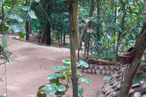 The Best Kandy Tuk-Tuk city Tour with a Professional Guide