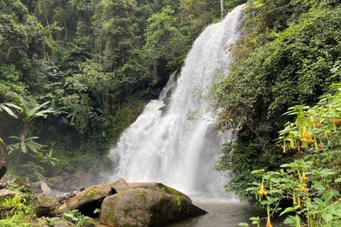 Chiang Mai: Pha Dok Siew naturled &amp; resa till Doi Inthanon