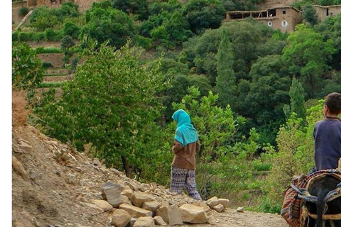 Marrakech: ourika valley & lunch & guided hike to waterfalls