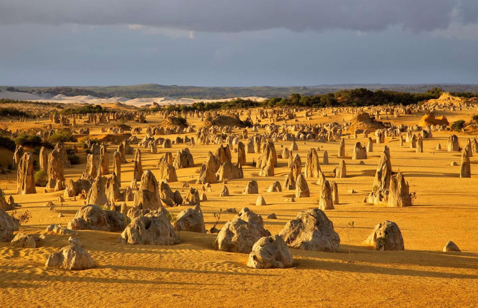 Ab Perth: Koala-, Lancelin-, Wedge Island- & Pinnacles-Tour