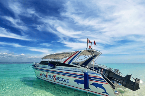 One Day Phi Phi Island by speed boat ( Join )
