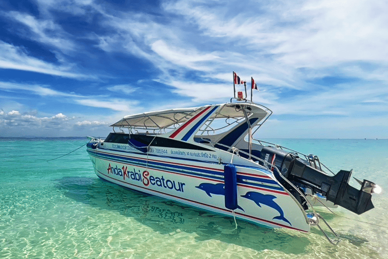 One Day Phi Phi Island by speed boat ( Join )