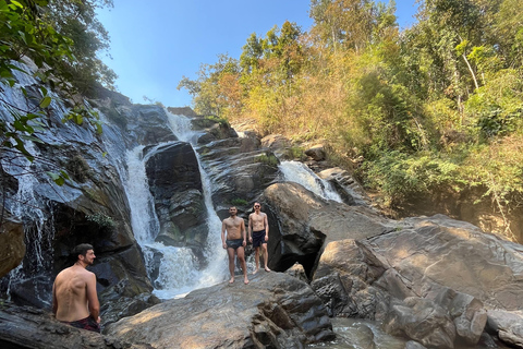 Chiang Mai: Ethical Elephant Experience with Bamboo Rafting
