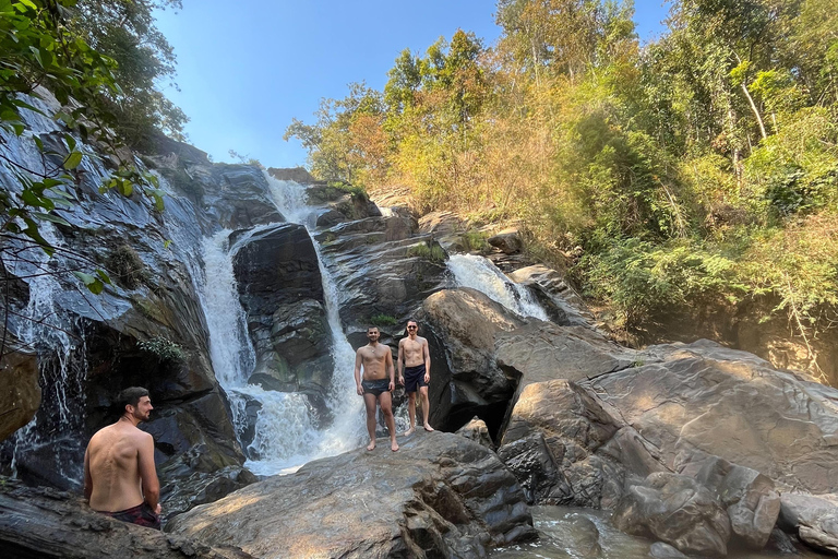 Chiang Mai: Ethical Elephant Experience with Bamboo Rafting