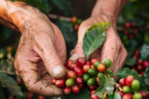 Ubud: Private Tour with Gunung Kawi Temple & Waterfall With Entry Tickets