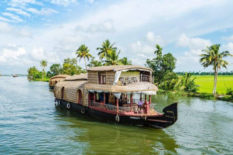 Kerala: 4-Day Honeymoon Tour with Treehouse Stay