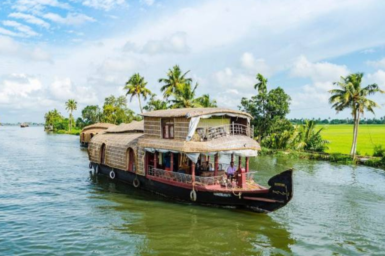 Kerala: 4-Day Honeymoon Tour with Treehouse Stay