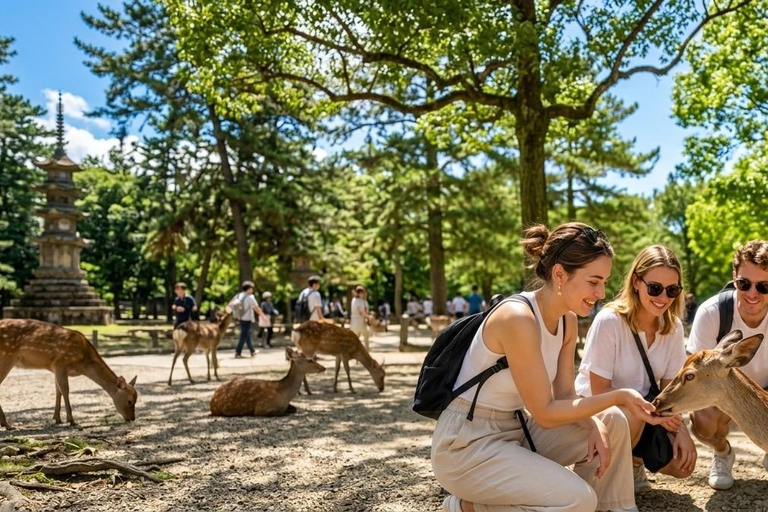 Nara Walking Photo Tour: Todai-ji Temple, Deer & Old Town