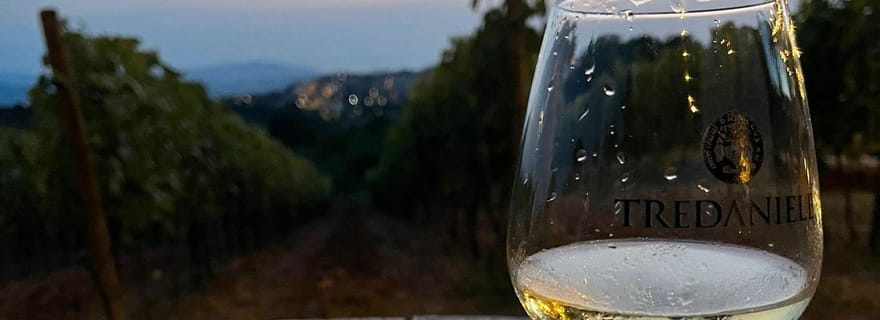 Vin du Cilento : Visite et dégustation