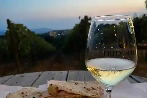 Cilento Wijn: Tour & Proeverij