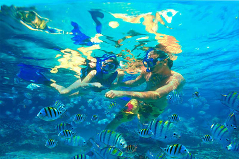 Bayahibe: Catalina Island Snorkeling and Diving Tour